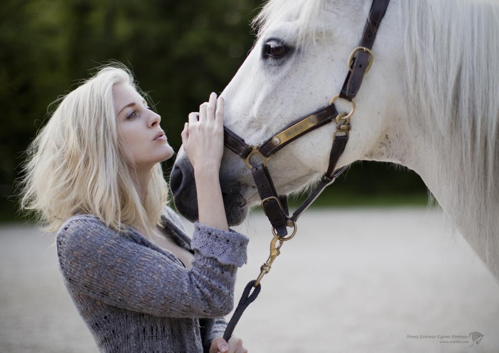 Equine Photography of horse and owner