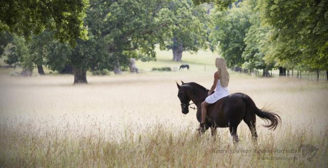 Dream like horse photos in park like grounds