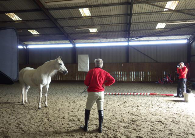 Equine Photography in an indoor school