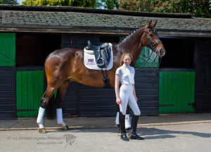 Buckinghamshire Windmill Turville Valley Equine studio horse portrait in the New Forest Hampshire Equestrian Dressage Eventing