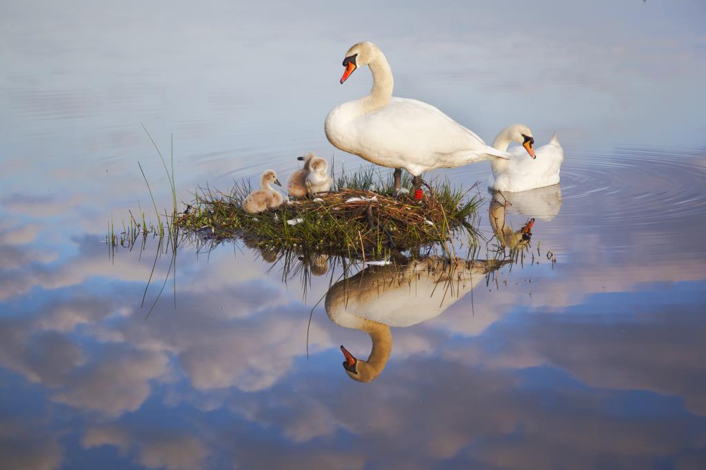 The reflections of the clouds make this image by Hampshire photographer Henry Szwinto special