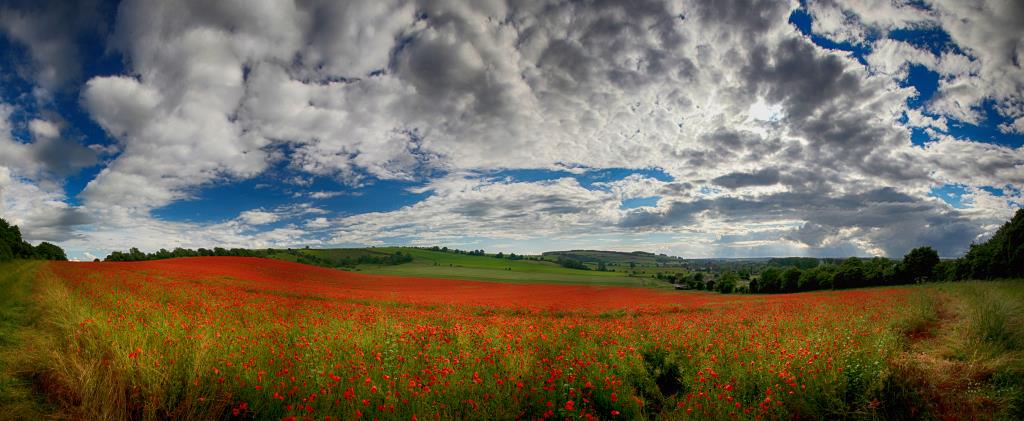 Landscape by Hampshire Photographer Henry Szwinto