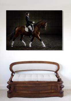 Gift Christmas Birthday Voucher photoshoot Equine studio horse portrait in the New Forest Hampshire Equestrian Dressage Eventing Acrylic