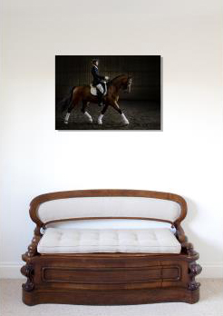 Gift Christmas Birthday Voucher photoshoot Equine studio horse portrait in the New Forest Hampshire Equestrian Dressage Eventing Acrylic