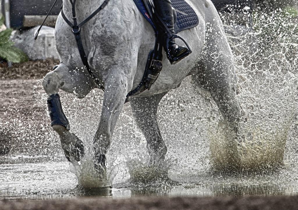 Water hazard eventing horse tweseldown